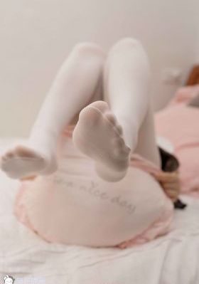 女士品格电视剧在线观看免费