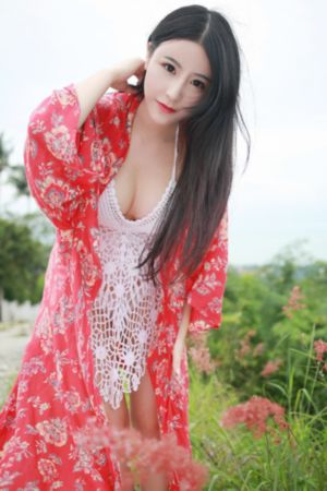 灿烂的人生