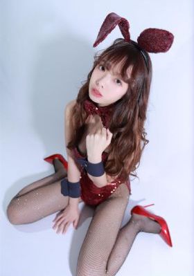 文豪野犬第六季全集免费观看